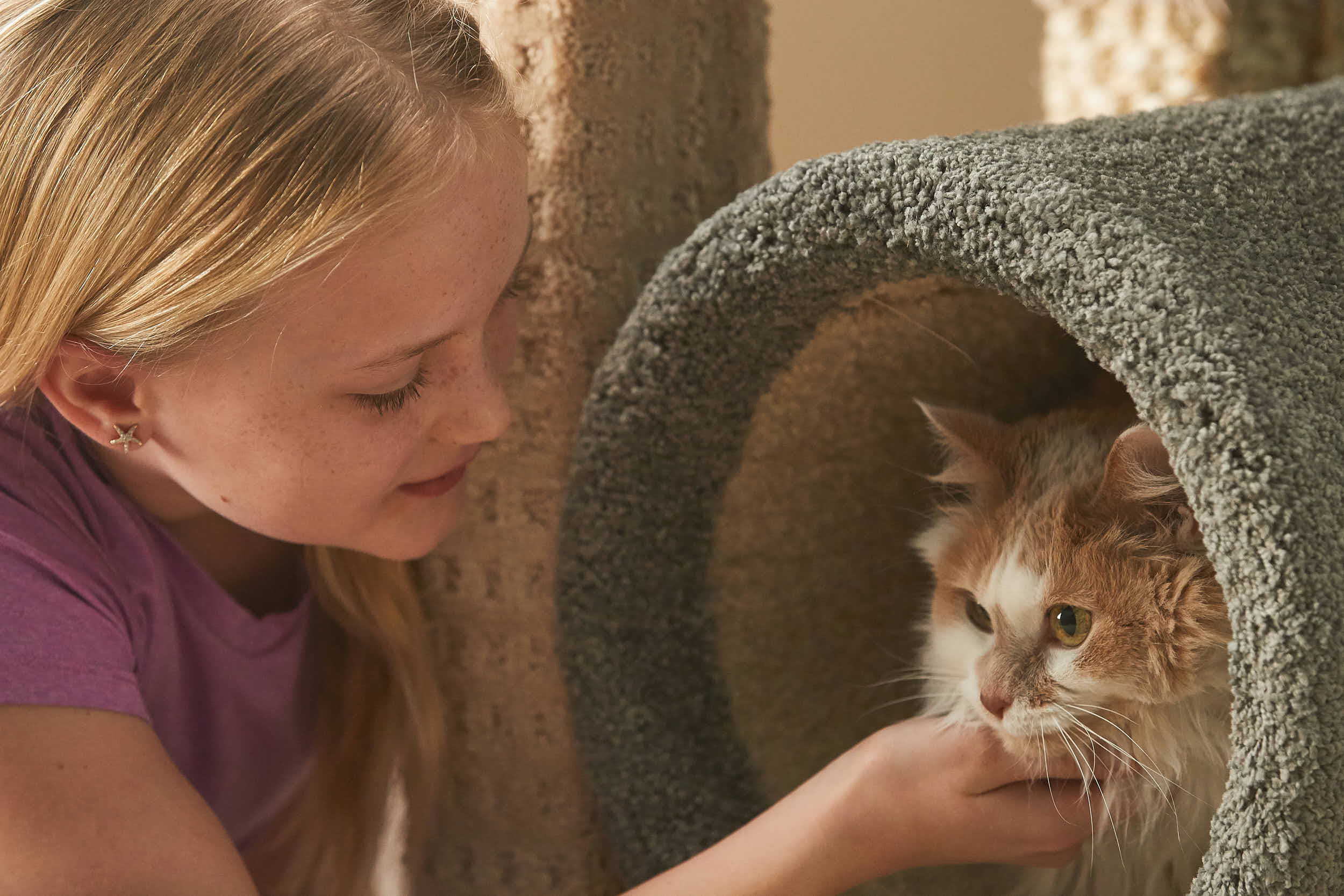 ff_012319_cat_condo_0219